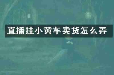 直播挂小黄车卖货怎么弄
