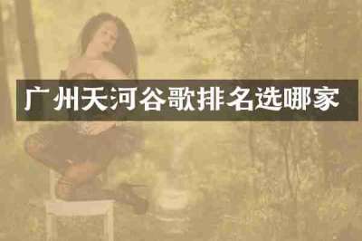 广州天河谷歌排名选哪家
