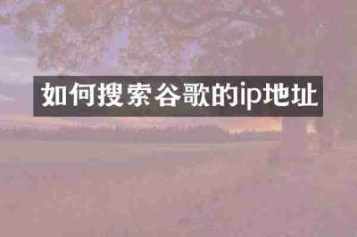 如何搜索谷歌的ip地址
