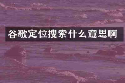 谷歌定位搜索什么意思啊