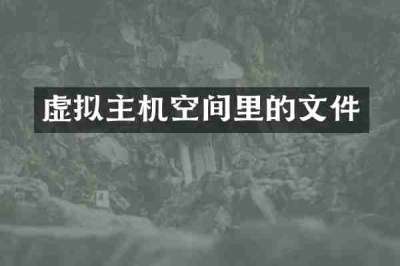 虚拟主机空间里的文件