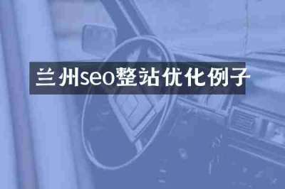 兰州seo整站优化例子