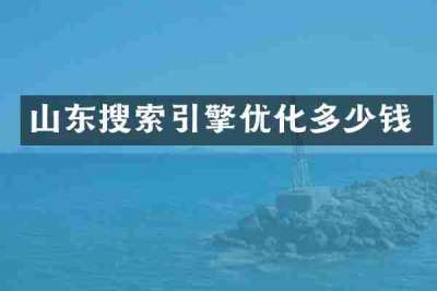 山东搜索引擎优化多少钱