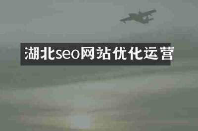 湖北seo网站优化运营