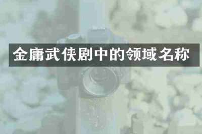 金庸武侠剧中的领域名称