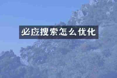 必应搜索怎么优化