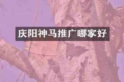 庆阳神马推广哪家好