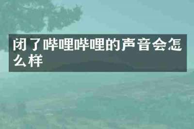 闭了哔哩哔哩的声音会怎么样