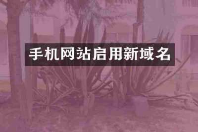 手机网站启用新域名