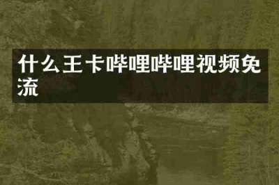 什么王卡哔哩哔哩视频免流