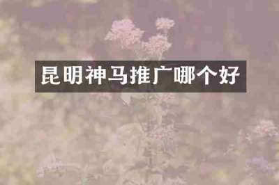 昆明神马推广哪个好
