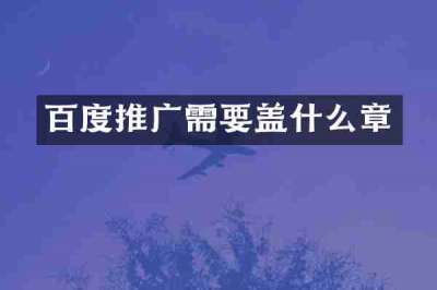 百度推广需要盖什么章