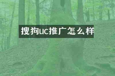 搜狗uc推广怎么样