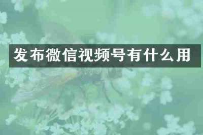 发布微信视频号有什么用