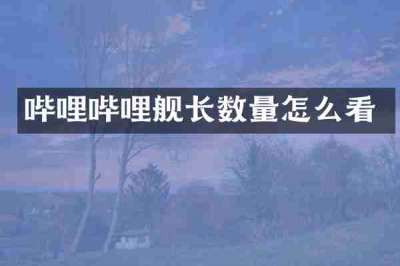 哔哩哔哩舰长数量怎么看