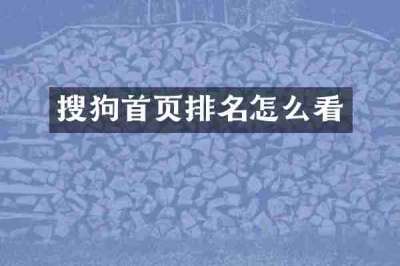 搜狗首页排名怎么看