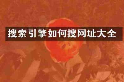 搜索引擎如何搜网址大全