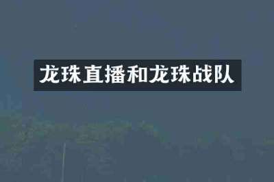 龙珠直播和龙珠战队