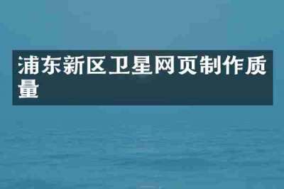 浦东新区卫星网页制作质量