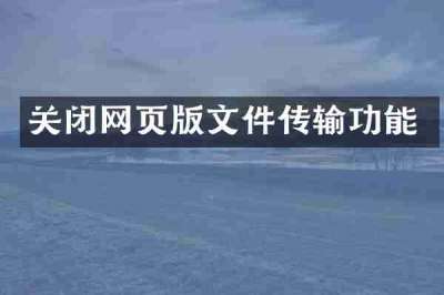关闭网页版文件传输功能