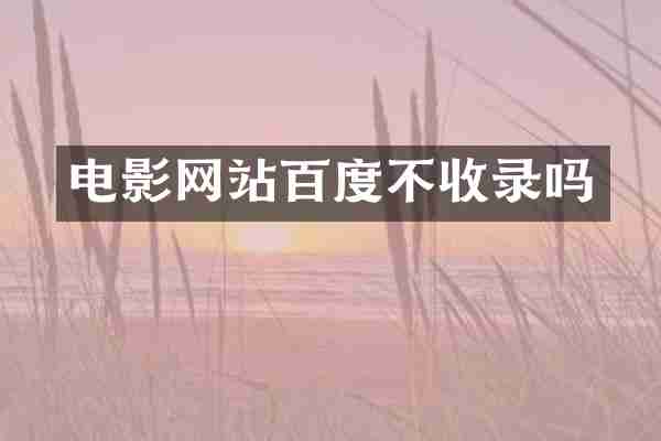 电影网站百度不收录吗