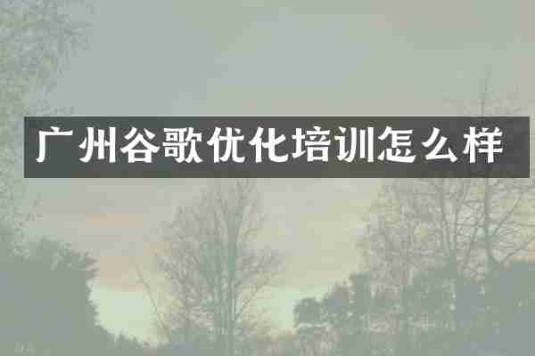广州谷歌优化培训怎么样