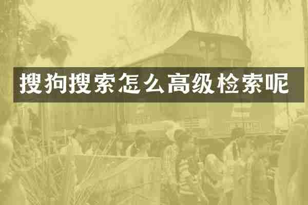 搜狗搜索怎么高级检索呢