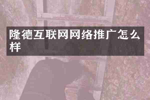 隆德互联网网络推广怎么样