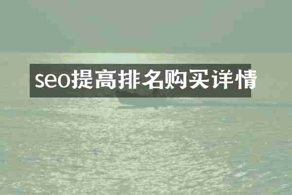 seo提高排名购买详情