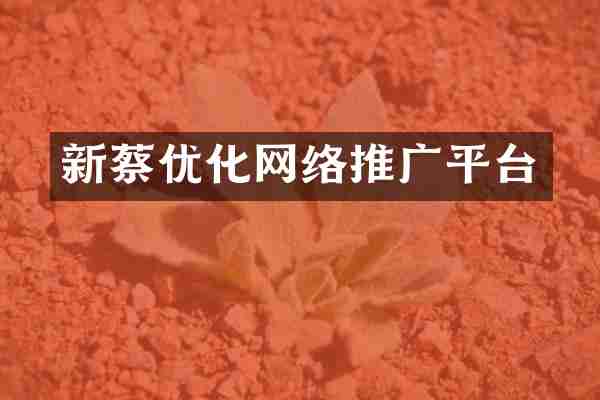 新蔡优化网络推广平台