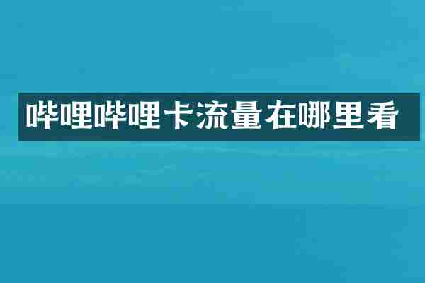 哔哩哔哩卡流量在哪里看