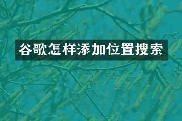 谷歌怎样添加位置搜索