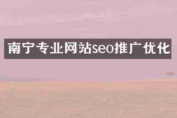 南宁专业网站seo推广优化