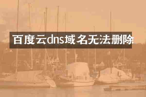 百度云dns域名无法删除