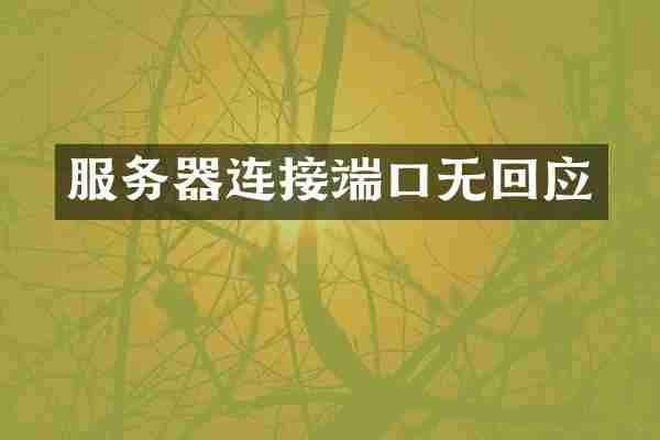 服务器连接端口无回应