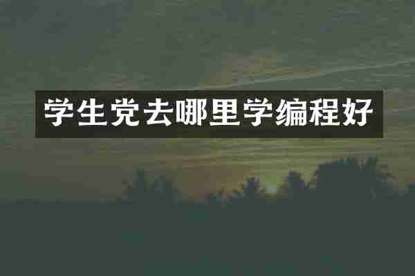 学生党去哪里学编程好