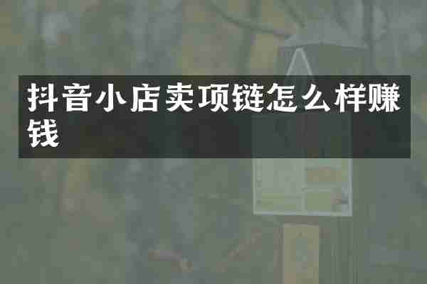 抖音小店卖项链怎么样赚钱