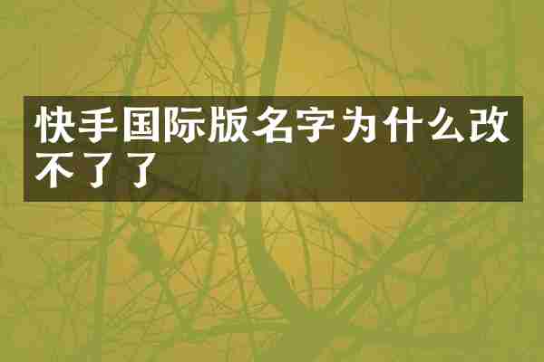 快手国际版名字为什么改不了了