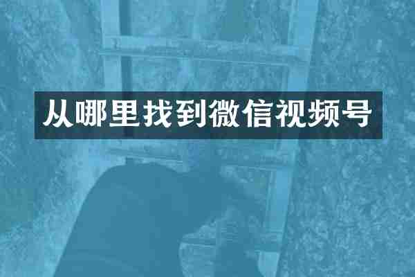 从哪里找到微信视频号