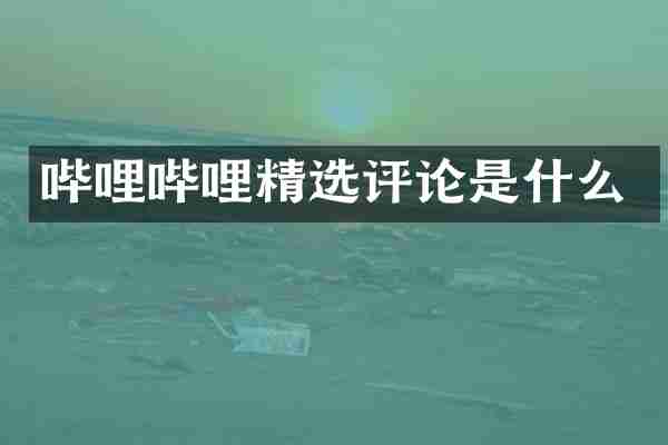 哔哩哔哩精选评论是什么