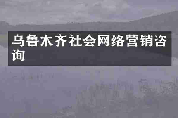 乌鲁木齐社会网络营销咨询