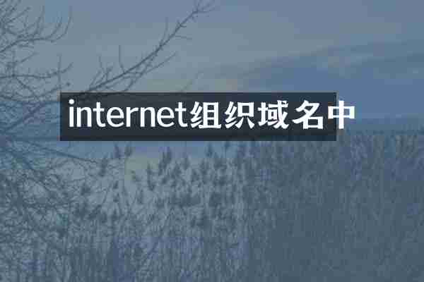 internet组织域名中