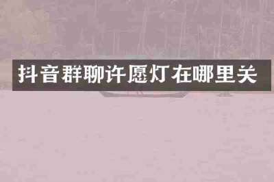 抖音群聊许愿灯在哪里关