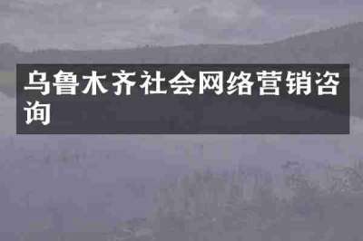 乌鲁木齐社会网络营销咨询