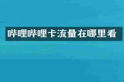 哔哩哔哩卡流量在哪里看
