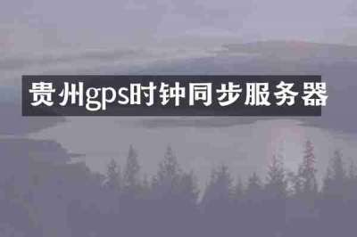 贵州gps时钟同步服务器