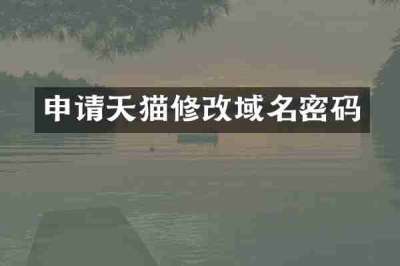 申请天猫修改域名密码