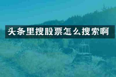 头条里搜股票怎么搜索啊