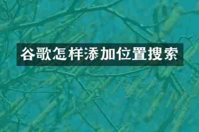 谷歌怎样添加位置搜索