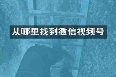 从哪里找到微信视频号